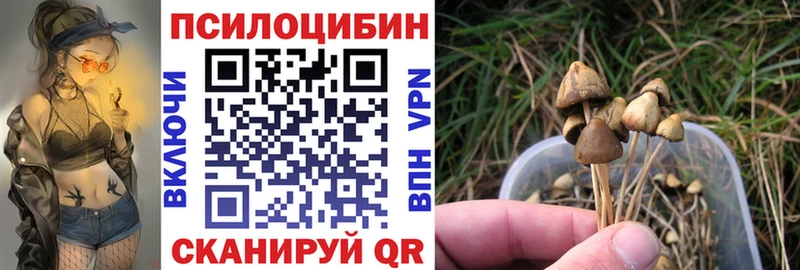 купить наркоту  Кудымкар  shop наркотические препараты  Галлюциногенные грибы Magic Shrooms 